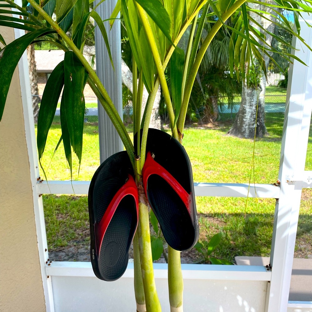 Red Oofos Flip Flops.